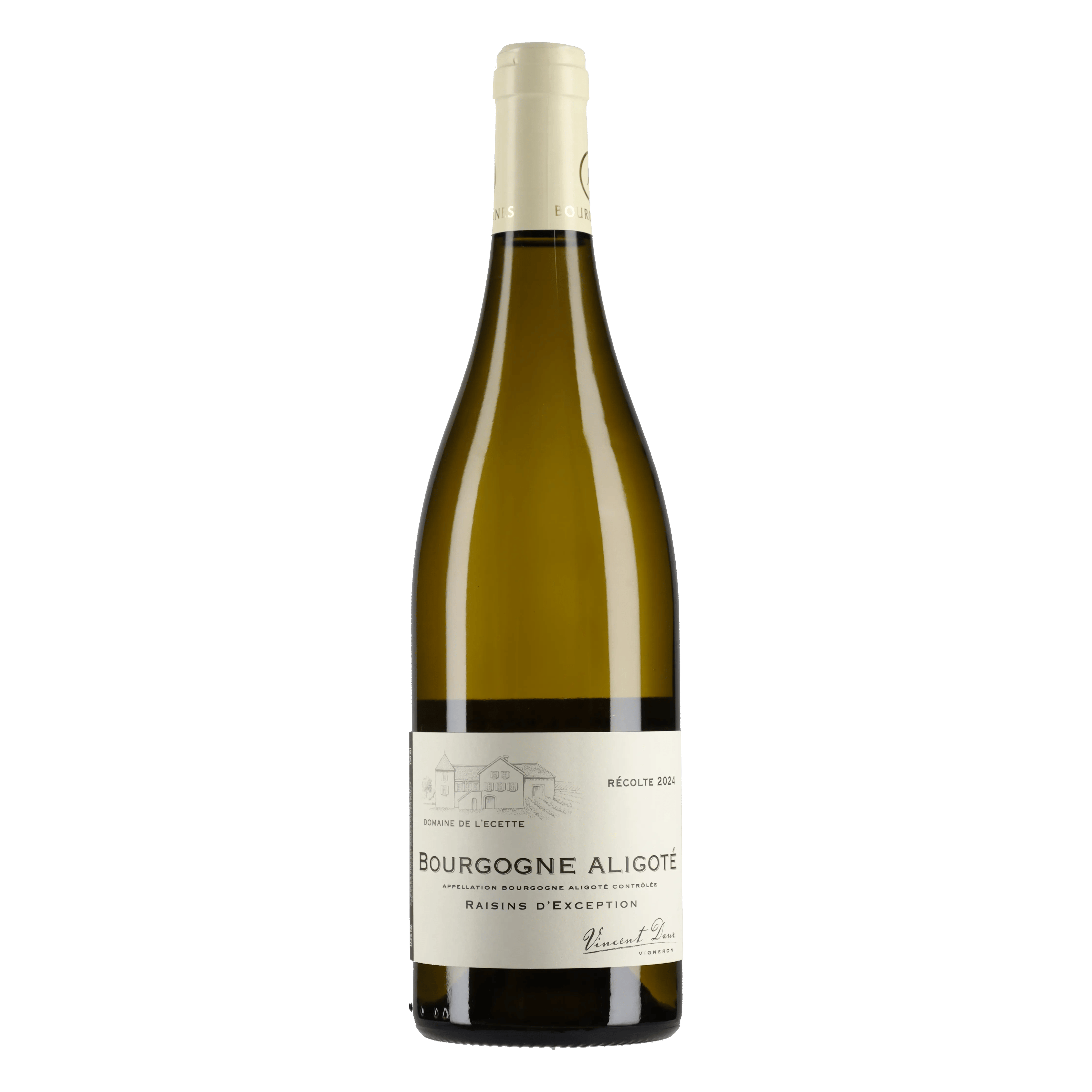 Bourgogne Aligoté 2024