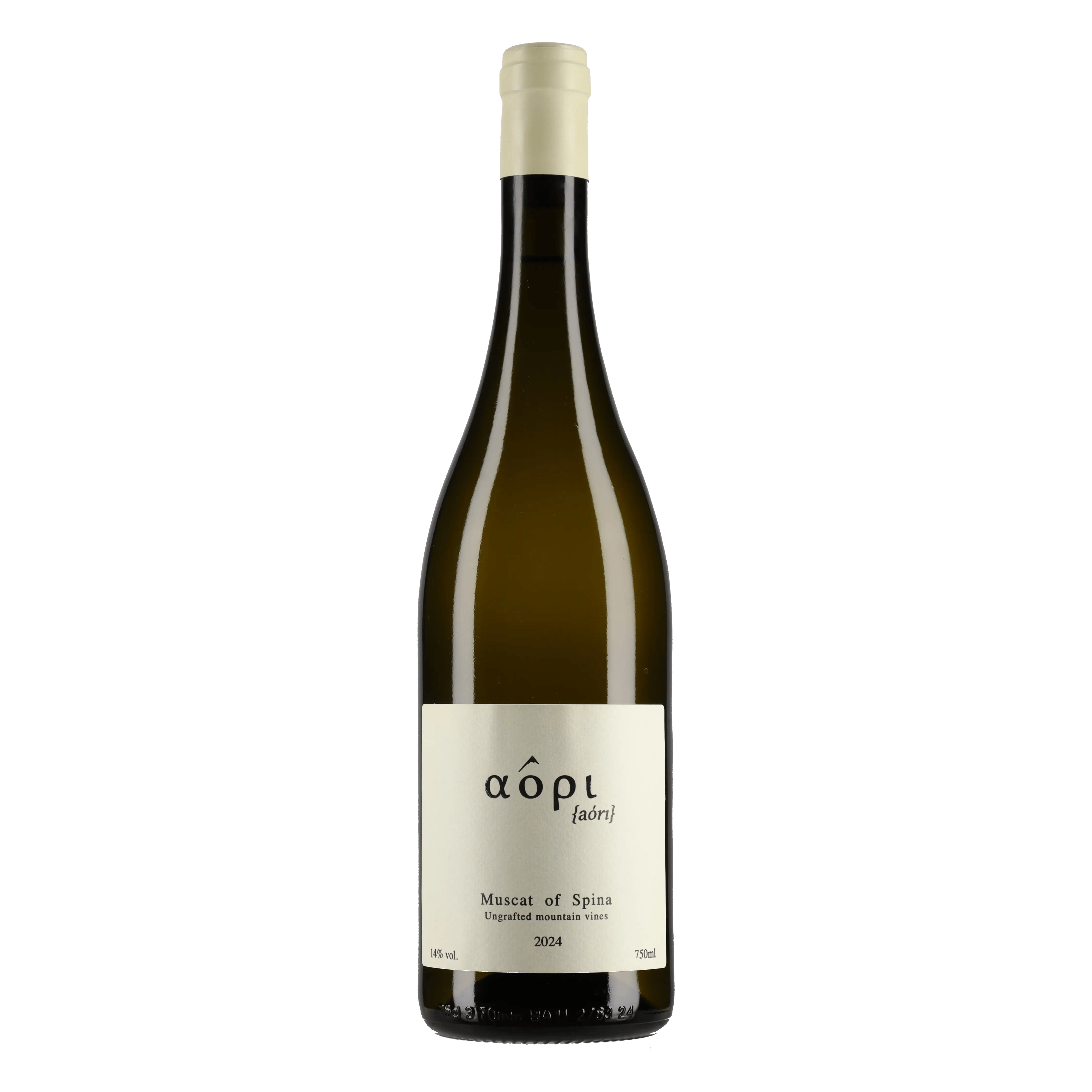 Muscat of Spina 2025