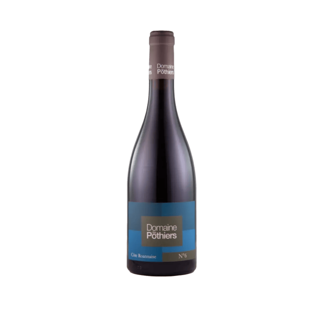 Côte Roannaise 'Cuvée No 6' 2021