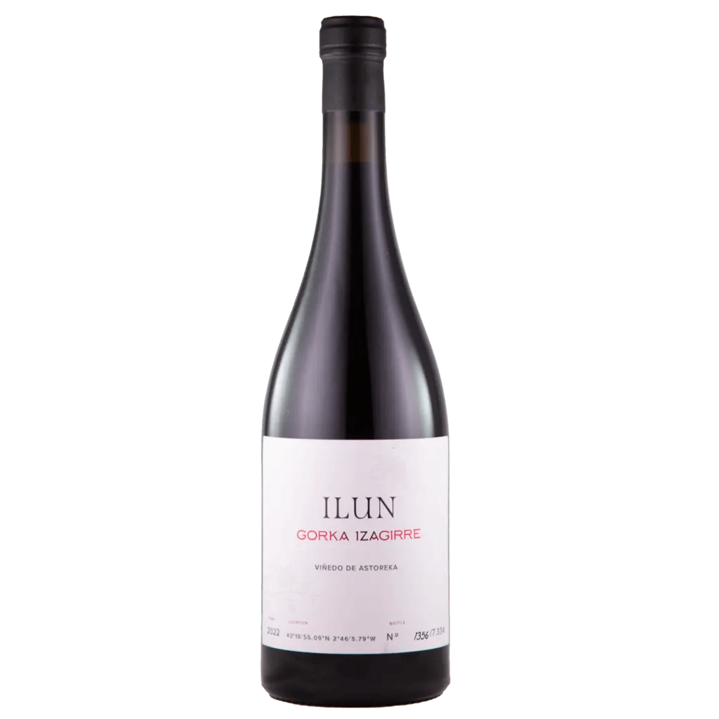Txakoli Tinto Ilun 2024
