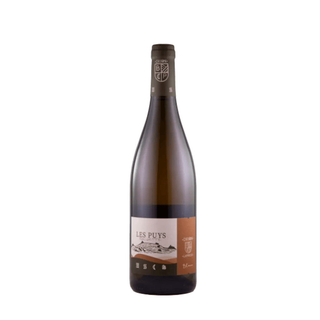 Chinon Blanc ‘Les Puys Rochette’ 2022
