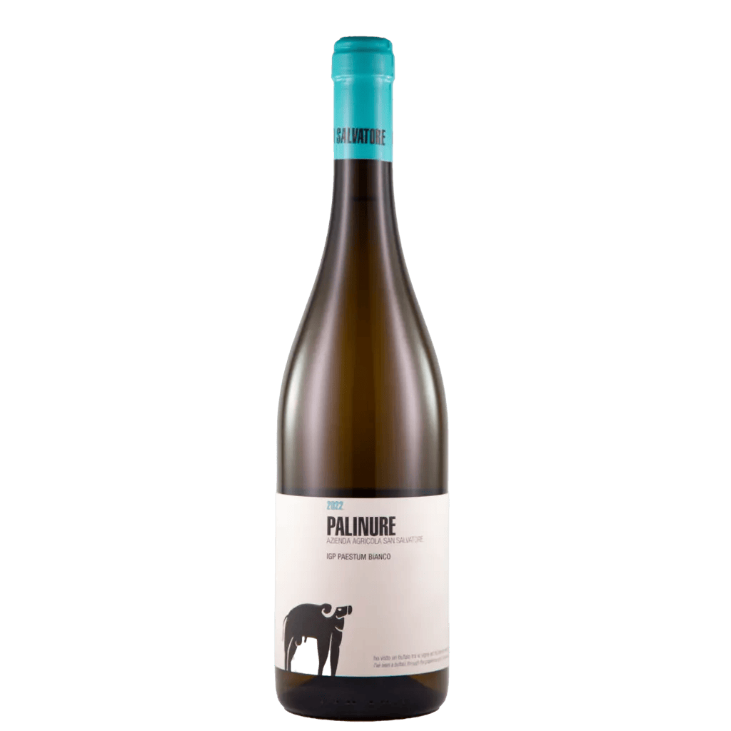 Palinure IGP Paestum Bianco 2024